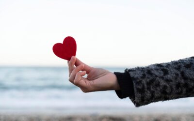 Organspende – ein heikles Thema